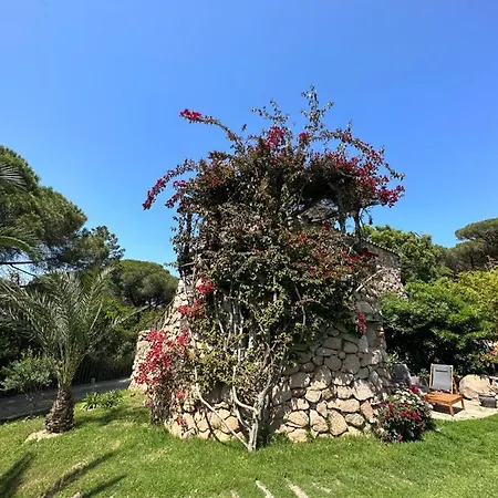 Ambassador Palombaggia