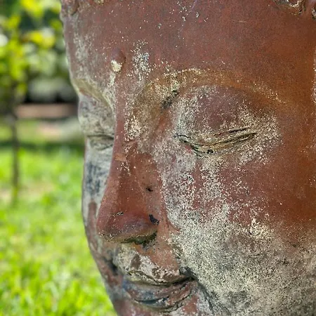 Ambassador Palombaggia Πόρτο Βέκιο