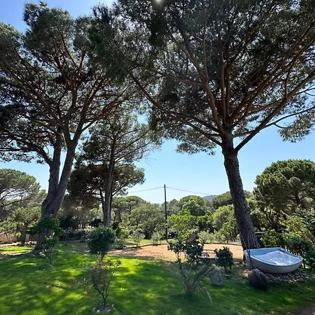 Hotell Ambassador Palombaggia