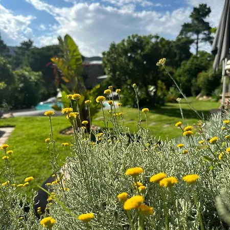 Ambassador Palombaggia Ξενοδοχείο 4*