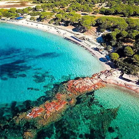 Hotel Ambassador Palombaggia