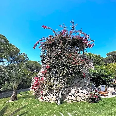 Hotel Ambassador Palombaggia