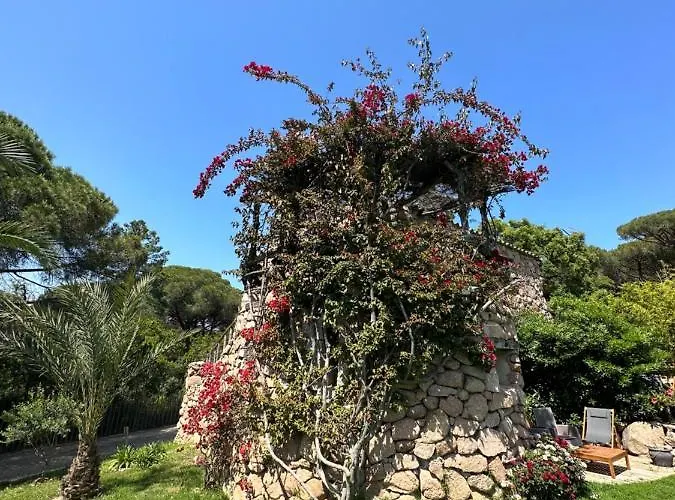 Ambassador Palombaggia