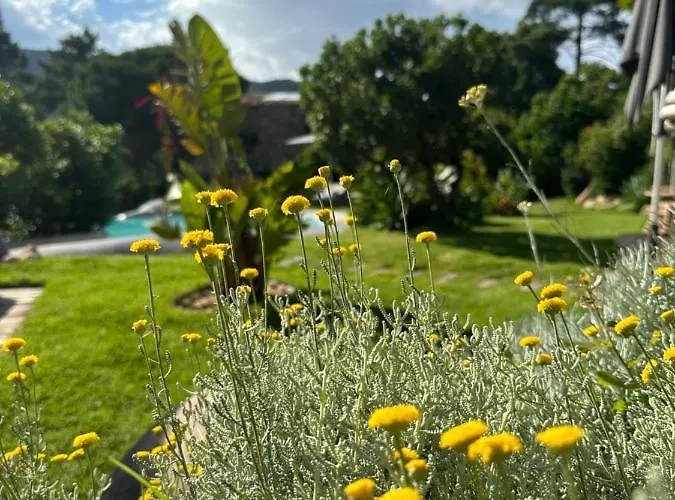 Ambassador Palombaggia Отель 4*